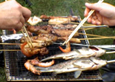 Barbecue grill wire netting